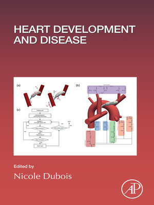 cover image of Heart Development and Disease